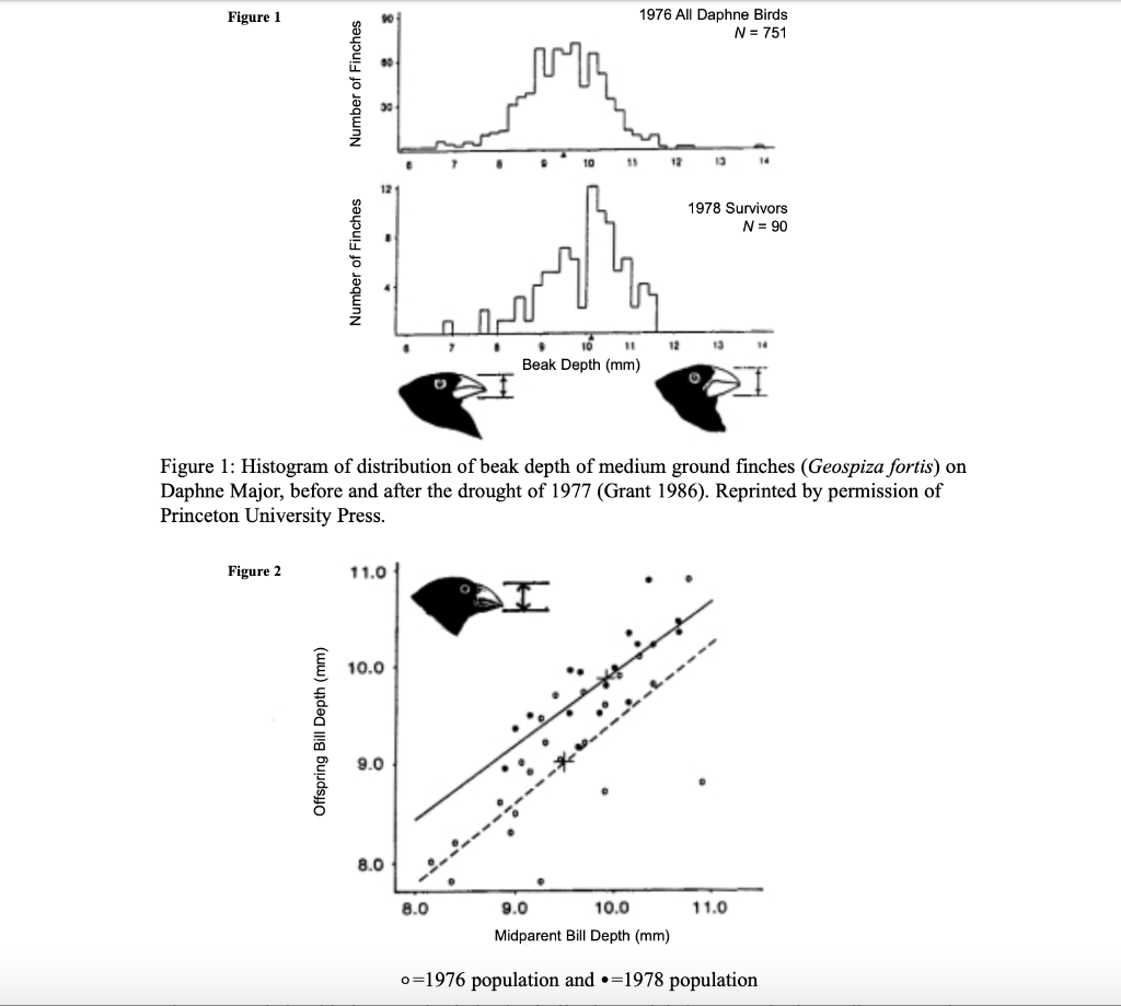 solved-can-you-see-the-three-darwinian-postulates-in-the-chegg