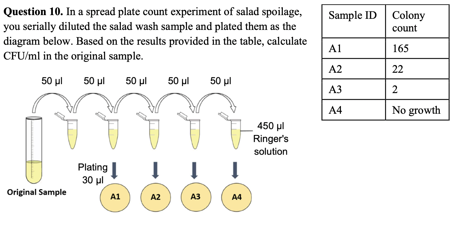 Solved Question 10. In a spread plate count experiment of | Chegg.com