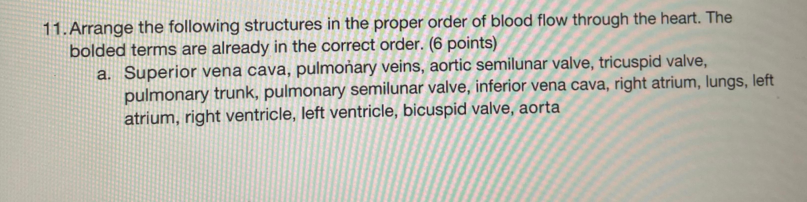 Solved 11. Arrange the following structures in the proper | Chegg.com