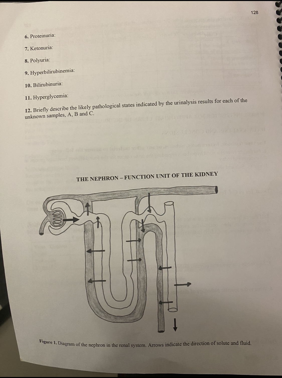 Solved 6. Proteinuria: 7. Ketonuria: 8. Polyuria: 9. | Chegg.com