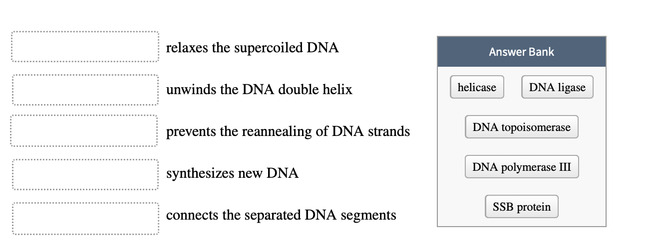 Solved Which statement best defines gene conversion? O the | Chegg.com