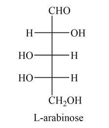 Solved Which of these structures is α-L-arabinofuranose? | Chegg.com