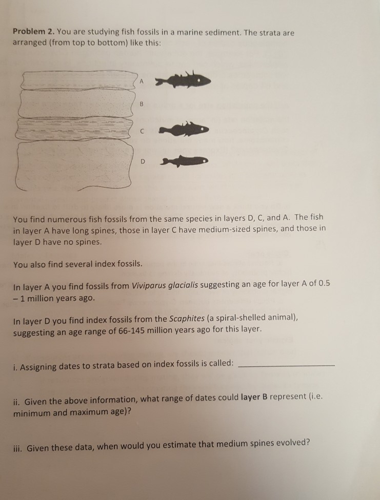 Solved Problem 2. You are studying fish fossils in a marine | Chegg.com