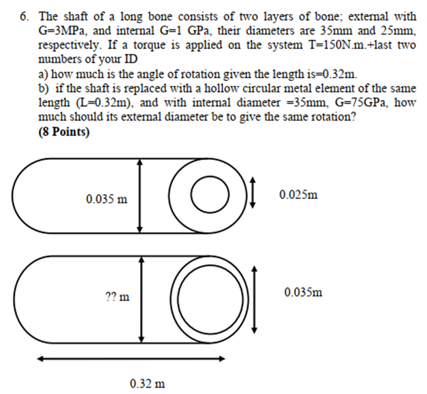 Solved The shaft of a long bone consists of two layers of | Chegg.com