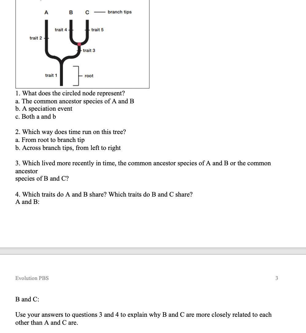 solved-a-b-branch-tips-trait-41-trait-5-trait-21-trait-3-chegg