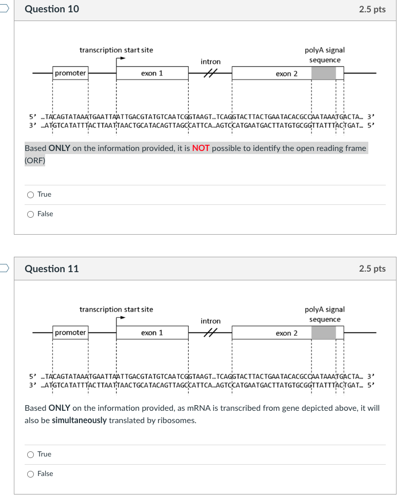 Solved True False Question 11 2.5pts 5. | Chegg.com