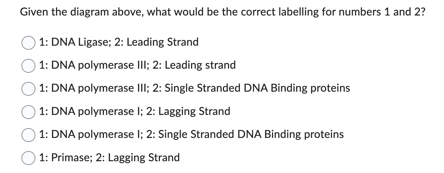 Solved 10Given the diagram above, what would be the correct | Chegg.com