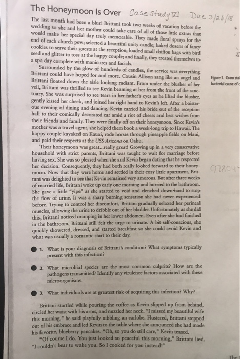 Solved The Honeymoon ls Over Casedyyi Due s/ae The last | Chegg.com