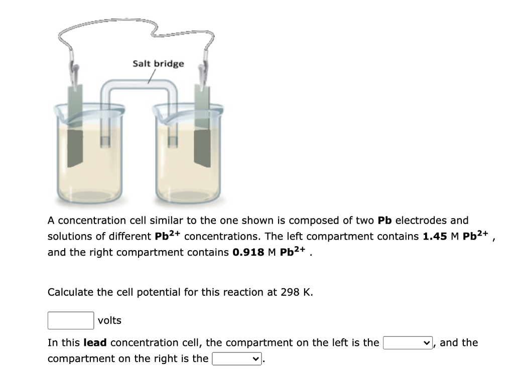 Solved A concentration cell similar to the one shown is | Chegg.com