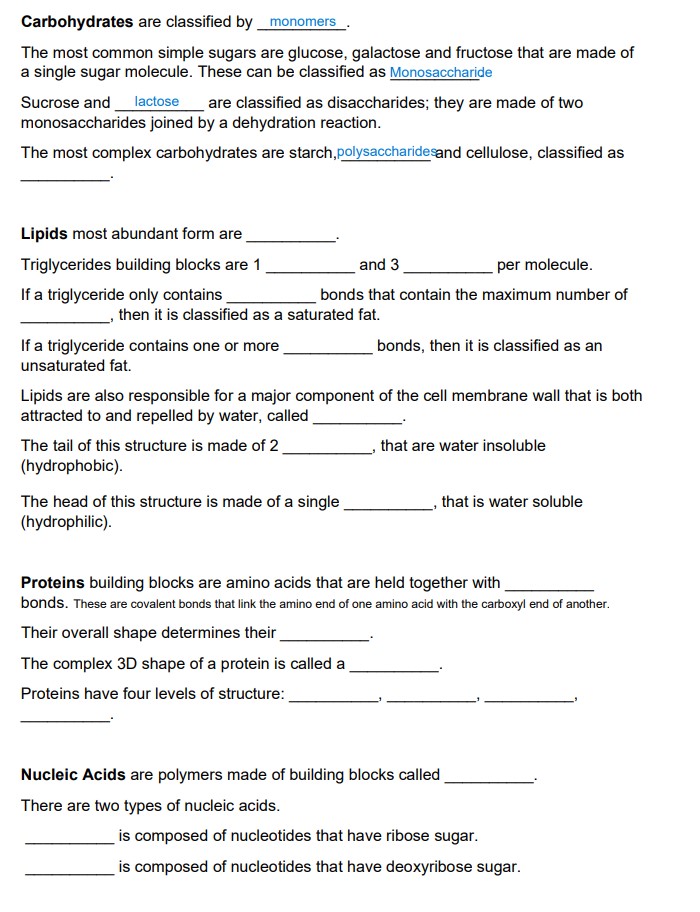 Solved Carbohydrates are classified by monomers.The most | Chegg.com