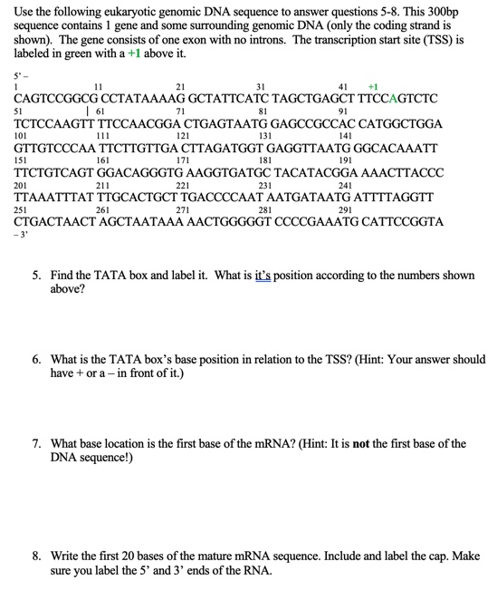 Solved 5. Find the TATA box and label it. What is it’s | Chegg.com