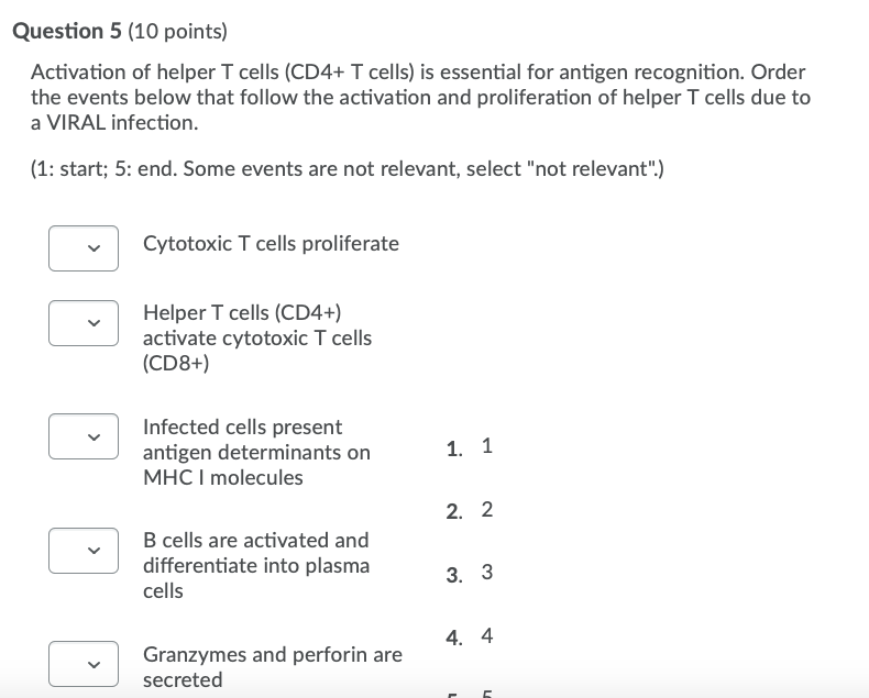 t helper 1 cells stimulate the activation of