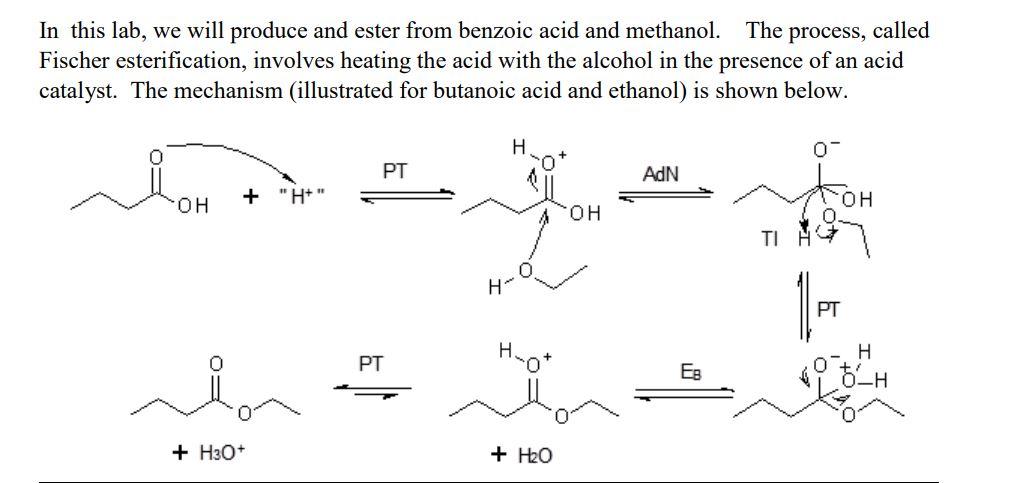 Solved Write the overall reaction for our esterification | Chegg.com