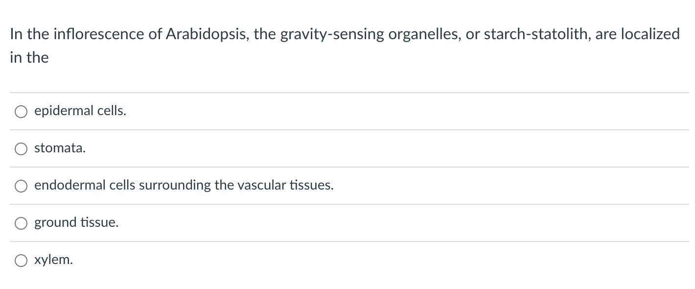 In the inflorescence of Arabidopsis, the gravity-sensing organelles, or starch-statolith, are localized
in the
epidermal cell