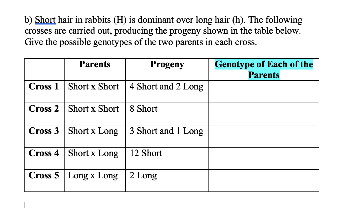 Solved b) Short hair in rabbits (H) is dominant over long | Chegg.com
