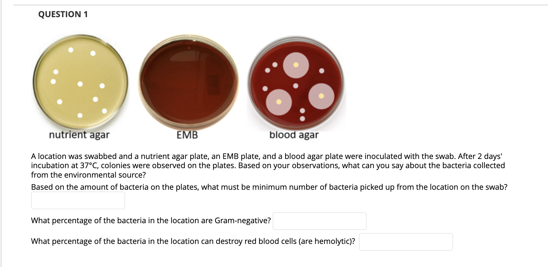 Solved A location was swabbed and a nutrient agar plate, an | Chegg.com