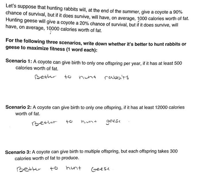 Solved Let's suppose that hunting rabbits will, at the end | Chegg.com