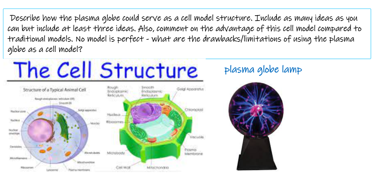 Solved Describe how the plasma globe could serve as a cell | Chegg.com
