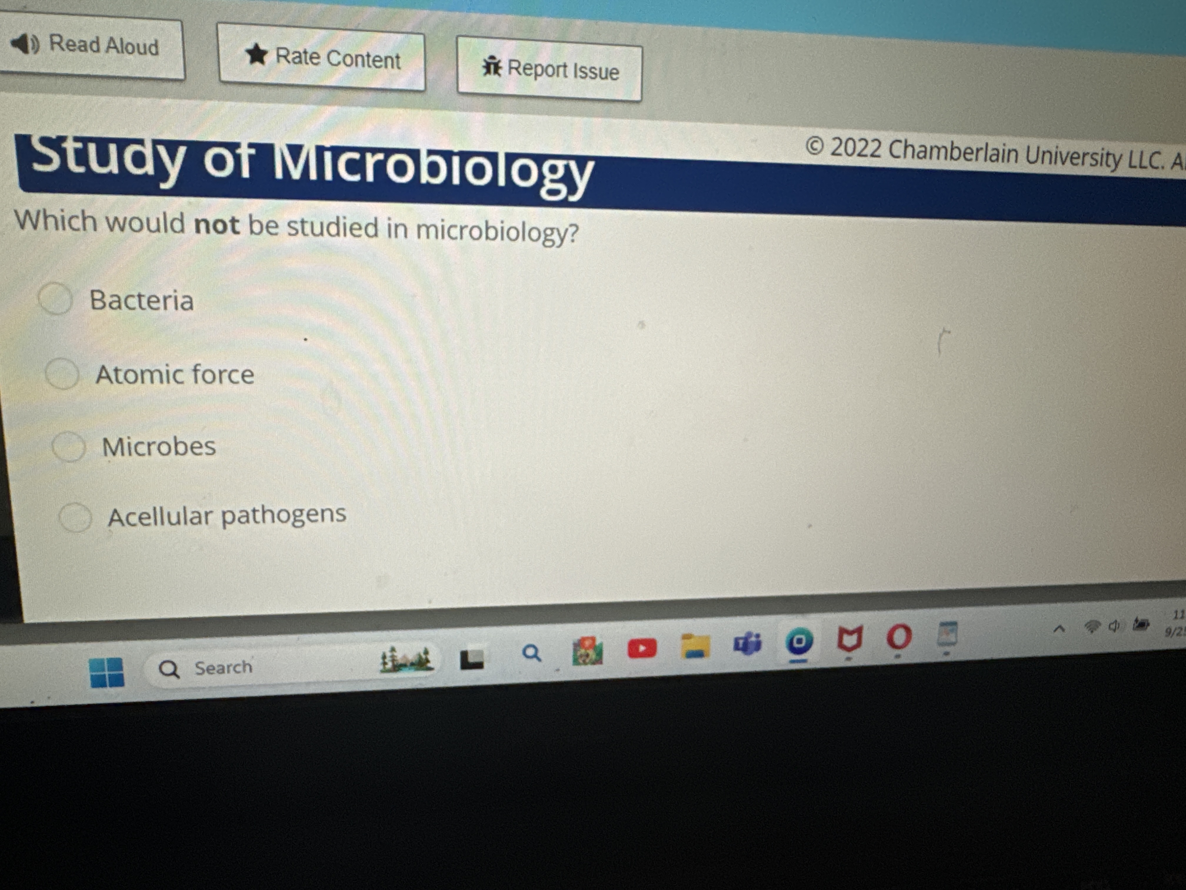 Solved Stuay of VircrobiologyWhich would not be studied in | Chegg.com