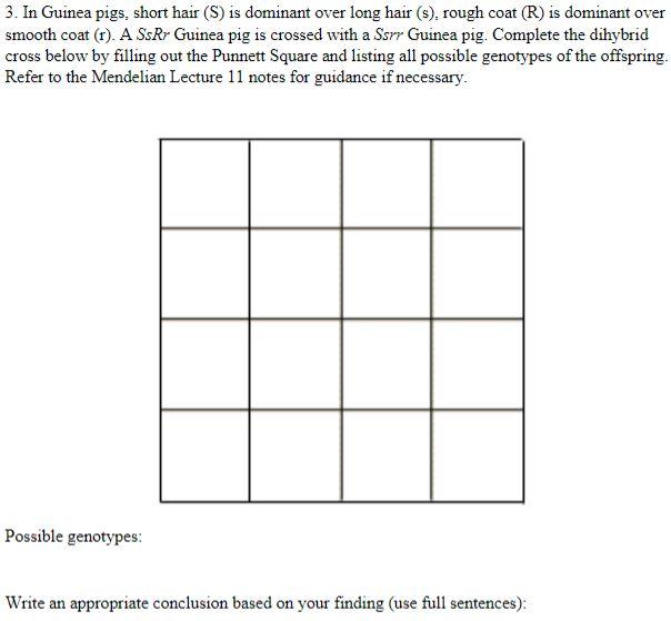 Solved 3 In Guinea Pigs Short Hair S Is Dominant Over Chegg Com