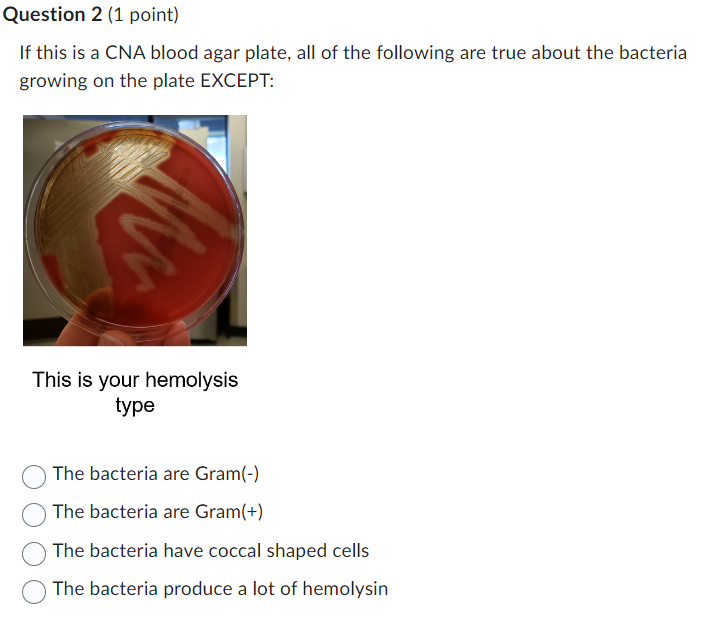 Solved If this is a CNA blood agar plate, all of the
