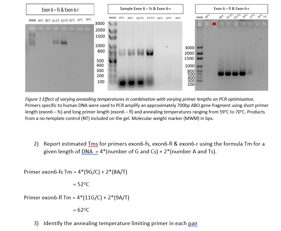 Solved Figure 1 Effect of varying annealing temperatures in