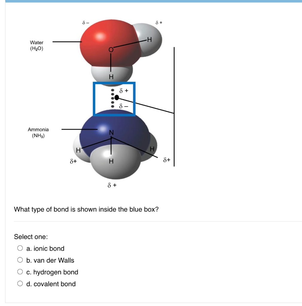 Solved All lipids Select one: a. do not dissolve well in | Chegg.com