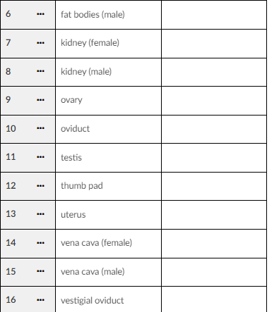 \begin{tabular}{|ll|l|l|}
\hline 6 & \( \ldots \) & fat bodies (male) & \\
\hline 7 & \( \ldots \) & kidney (female) & \\
\hl