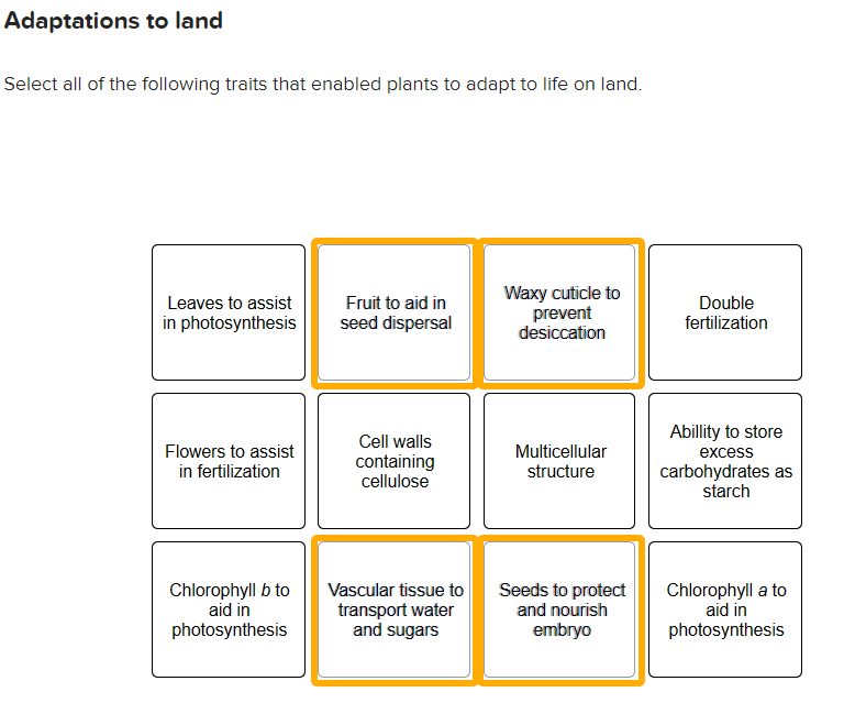 Solved The Answers Selected Are Correct, But What Other | Chegg.com