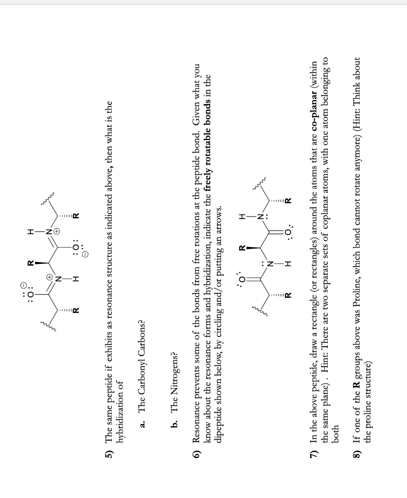 5) The same peptide if exhibits as resonance structure as indicated above, then what is the hybridization of
a. The Carbonyl 