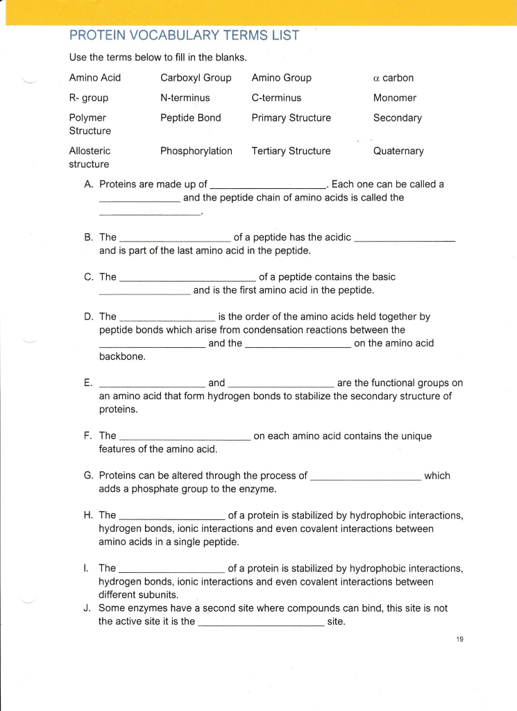 Solved PROTEIN VOCABULARY TERMS LIST Use the terms below to