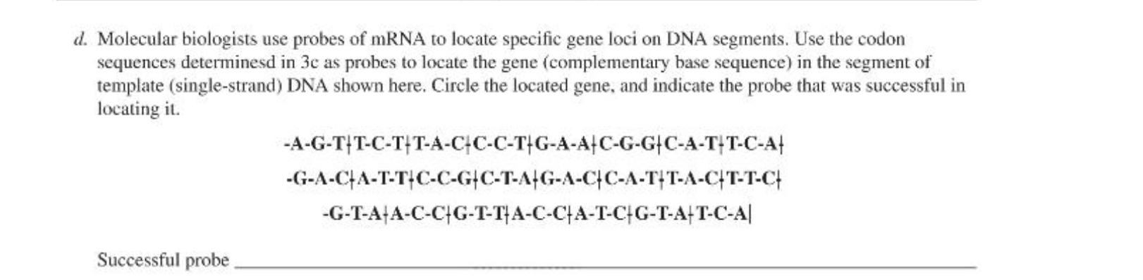 Solved d. Molecular biologists use probes of mRNA to locate | Chegg.com