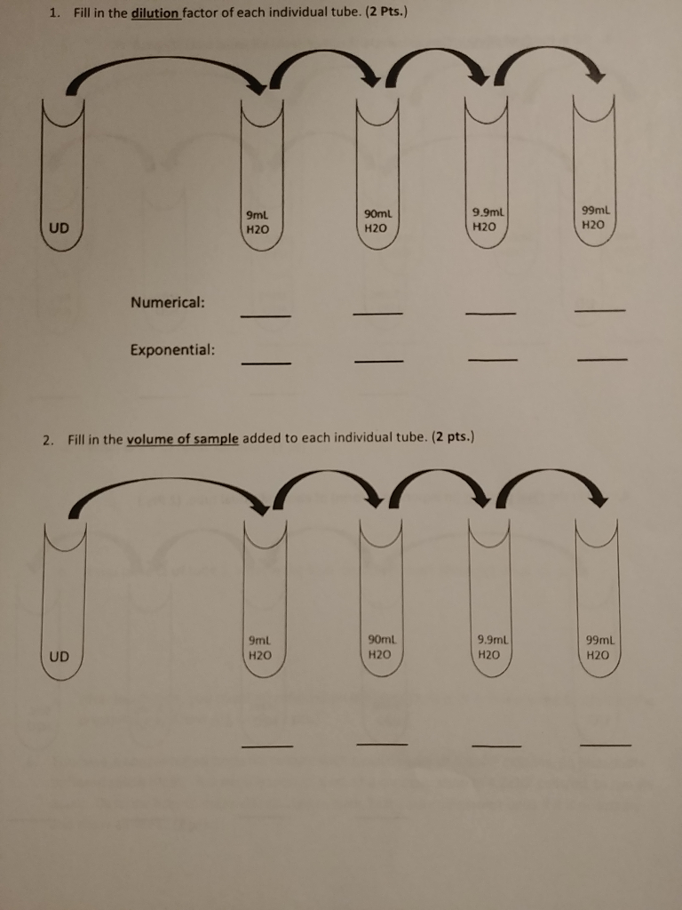 Solved 1. Fill in the dilution factor of each individual | Chegg.com