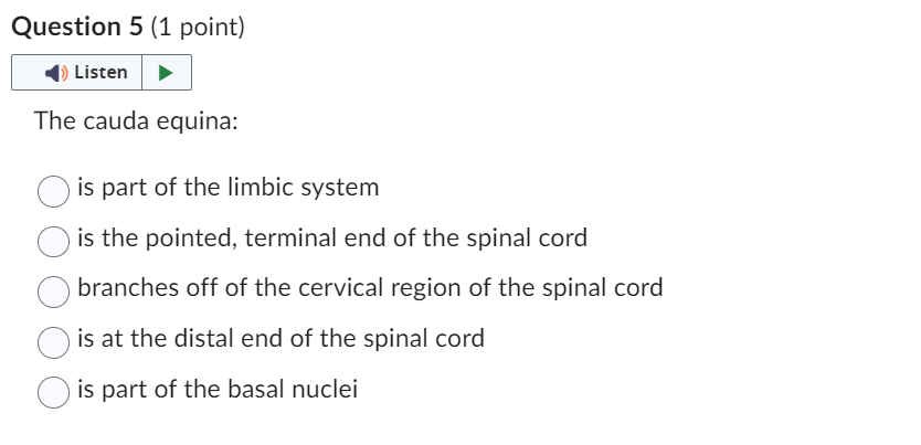 The cauda equina:
is part of the limbic system
is the pointed, terminal end of the spinal cord
branches off of the cervical r