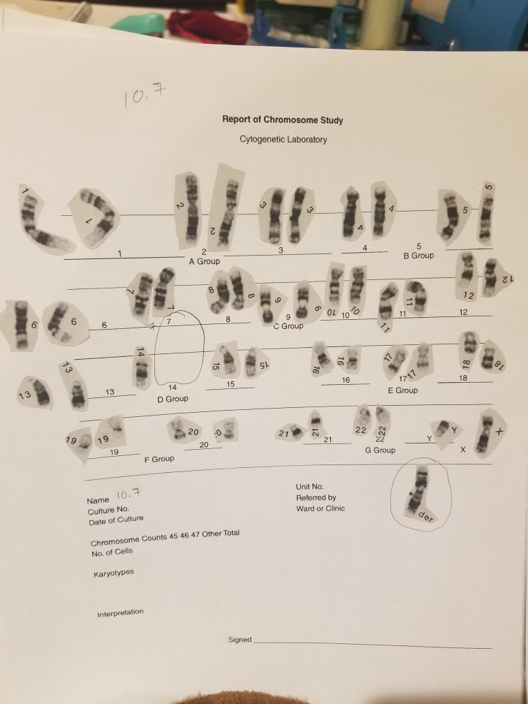 Solved 2 Human Chromosomes a. What is the total number of