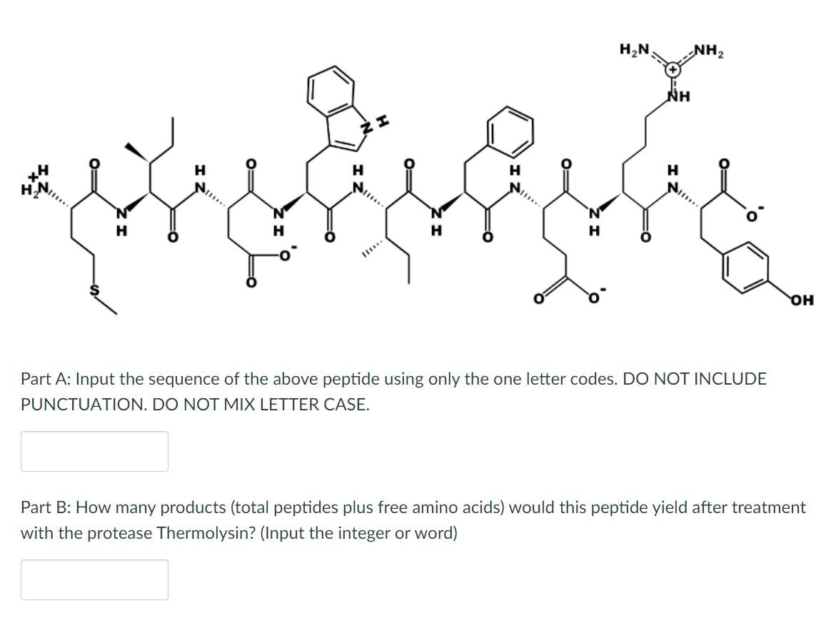 Solved HN NH2 NH H H H H N N H H OH Part A: Input the | Chegg.com
