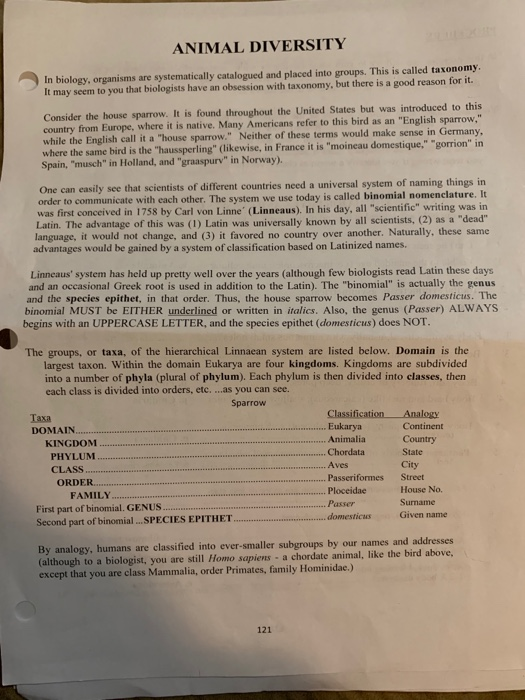 ANIMAL DIVERSITY In biology, organisms are