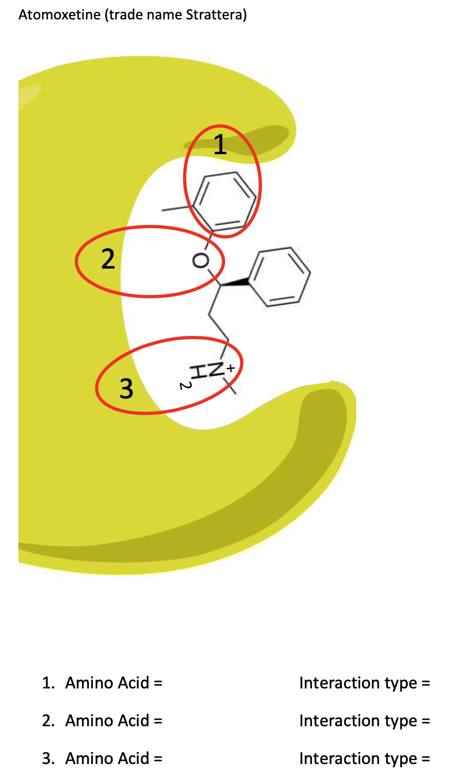 Solved Background Drugs used in medicine may alter the | Chegg.com