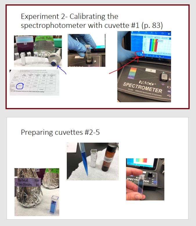 write a hypothesis that explains the effect of the plastic sheet on the pieces of paper