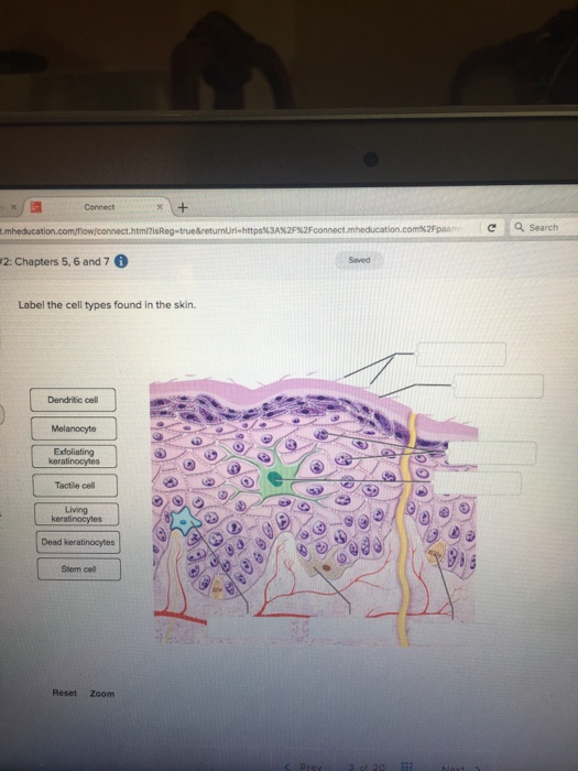 Anatomy And Physiology Archive | October 13, 2017 | Chegg.com