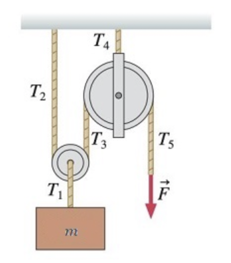 Solved The block of mass m = 12.9 kg shown in the figure | Chegg.com