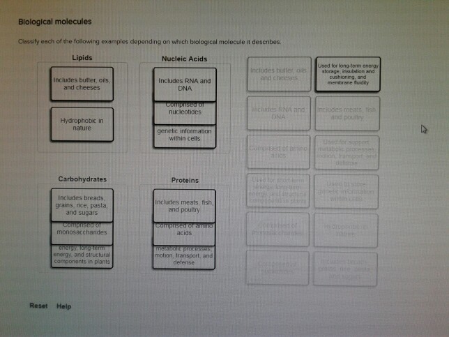 Solved ATP Label the following diagram with the appropriate | Chegg.com