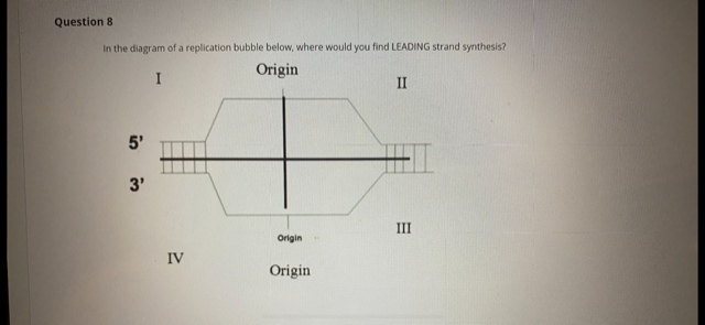 Solved In the diagram of a replication bubble below, where | Chegg.com