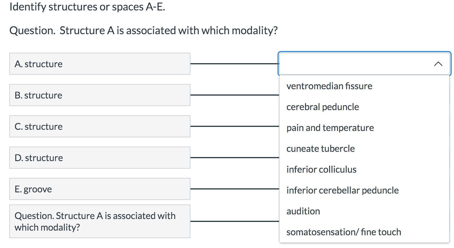 Solved А D B с E Identify structures or spaces A-E. | Chegg.com