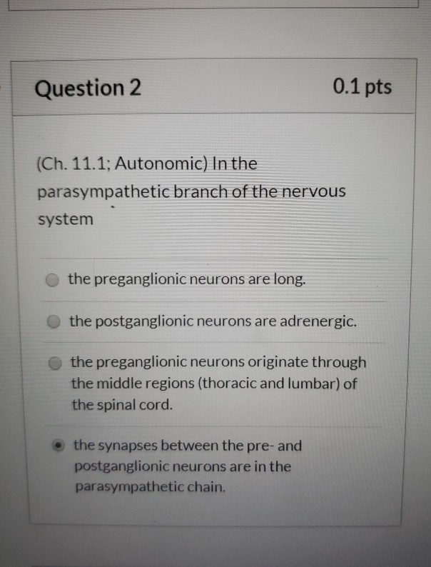 Solved Question 2 0.1 pts (Ch. 11.1; Autonomic) In the | Chegg.com