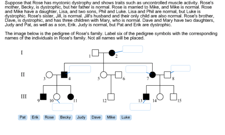 Solved Suppose that Rose has myotonic dystrophy and shows | Chegg.com