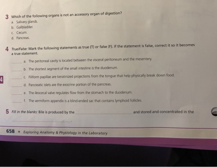 Which Of The Following Organs Is Not An Accessory Organ Of Digestion