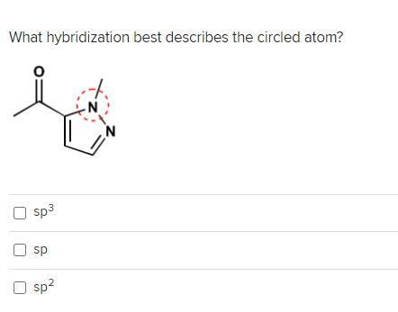 Solved What Hybridization Best Describes The Circled Atom? T | Chegg.com