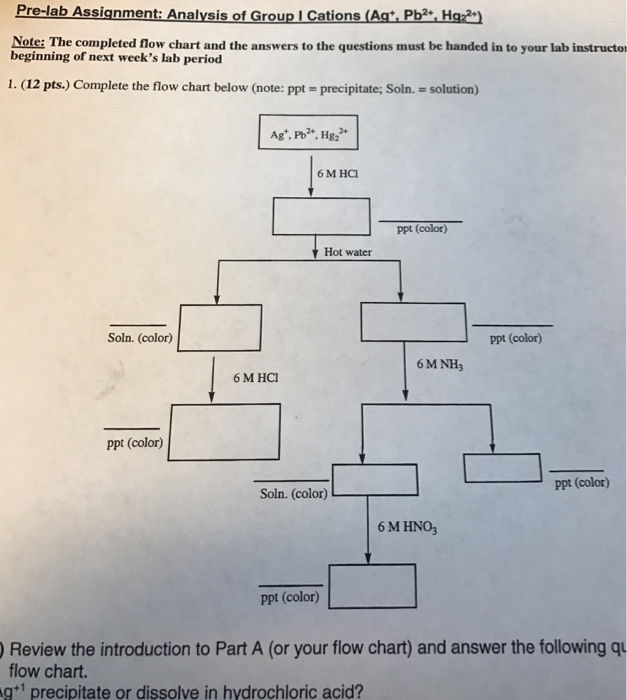 Solved Complete The Flow Chart Below Review The | Chegg.com