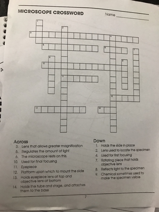 Solved MICROSCOPE CROSSWORD Name Across 3 Lens that allows Chegg com